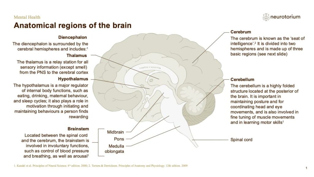 Mental Health - Fundamentals of Neurobiology - slide 5